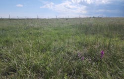 County Road 12, Rush, CO 80833