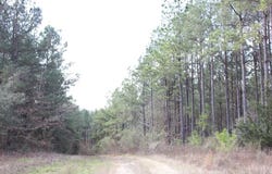 PID 7331 US 59 N, GARRISON, TX 75946