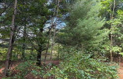 Mcconnell Rd, Glenfield, NY 13343