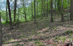 25 Pinson Drive, Winfield, WV 25213