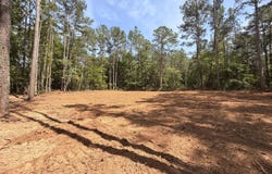 Old Lula Road, Reagan, TN 38368