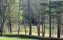 175 Olive Ridge Drive, Crumpler, NC 28617