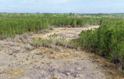 Vacant SW Captain Brown Rd, Madison, FL 32340