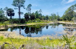 SW 101ST LN, CEDAR KEY, FL 32625