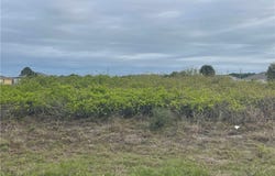 8015 Marsh Circle, Labelle, FL 33935