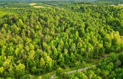 White Hollow Road, Patriot, OH 45658