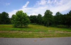 1 Peachers Lane, INDIAN MOUND, TN 37079