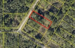 BEDSTONE Drive, WEBSTER, FL 33597
