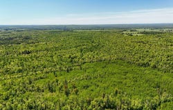 V/L Larson Road, Bruce Crossing, MI 49912