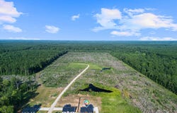 625 CR 310, De Berry, TX 75639