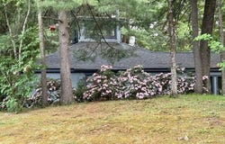 1 Butternut Circle, Avon, CT 06001