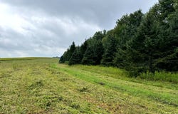 1.9 Brigham Rd, Richford, NY 13835