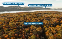 48 Chickadee Drive, Davis, WV 26260