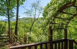 45 Black Bear Trace, Murphy, NC 28906