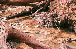 Ferguson Road, Chapel Hill, NC 27516