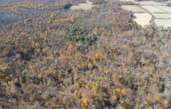 Co Rd 825 E, Bowling Green, IN 47833