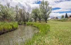 22 Liberty Ln, Cody, WY 82414