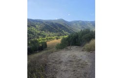 449 McLaughlin Lane, CO 81621