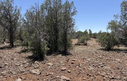 5589 N Randall Boulevard, Williams, AZ 86046