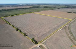 FM 1445, Cameron, TX 76520
