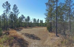 Fields Road, Pauline, SC 29374