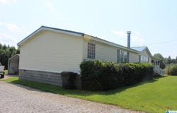 1025 LAMON CHAPEL LOOP, JASPER, AL 35503
