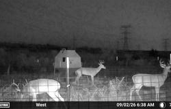 State Highway 70, Dickens, TX 79229
