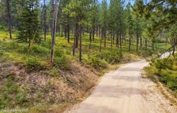 NKA Kelly Gulch Rd, Pinehurst, ID 83850