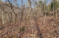 MAGNOLIA LN, HOLLADAY, TN 38341