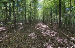 Panther Creek Road, Oark, AR 72854