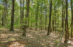 S LONG BRANCH Ln, Lexington, VA 24450