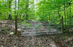 Highway 431, Roanoke, AL 36274