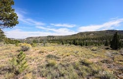 W Doe Rd, Mammoth Creek, UT 84735