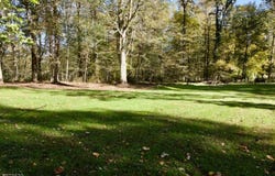 685 Shunpike Rd, Chatham Twp., NJ 07935-3018