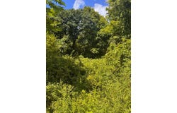 264 Breen Road, Hardwick, MA 01082