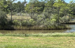 Tradewinds Drive, Gautier, MS 39553