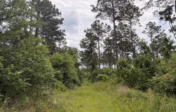 County Road 2468, Douglassville, TX 75560