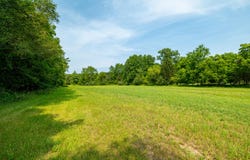 River Bend Street, Manchester, MI 48158