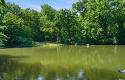 1323 E TRUITT Road, Chillicothe, IL 61523