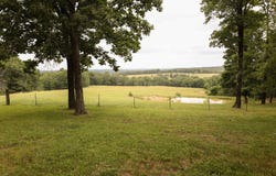 233 State Route NN, Mountain View, MO 65548