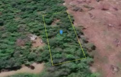 200 NE LEEK Trail, LEE, FL 32059