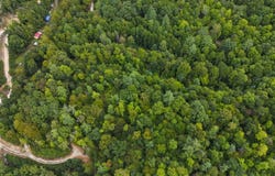 Sunset Valley lot: 105, Campton, KY 41301
