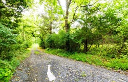 312 JAMESTOWN Road, SUMMIT POINT, WV 25446