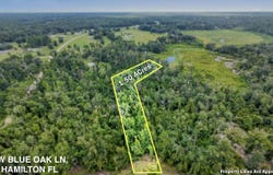 Vacant NW Blue Oak Lane, Jennings, FL 32053