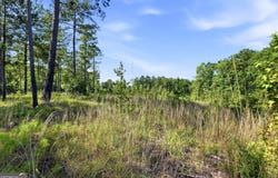 680 Giles Road, Forsyth, GA 31029