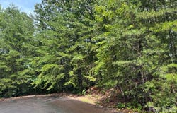 Fire Tower Road, Bostic, NC 28018