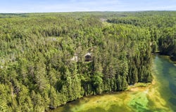 14917 Shoreline Drive, Wolverine, MI 49799