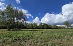 BERRY FARM RD lot: 4, STAUNTON, VA 24401