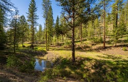 3605 Hubbart Dam Road, Marion, MT 59925
