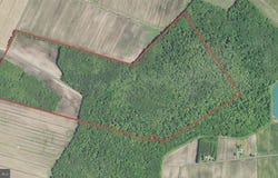 BLUEBERRY Road, WHALEYVILLE, MD 21872